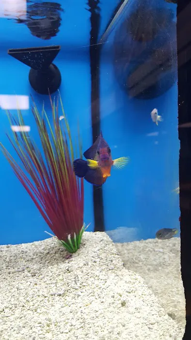 Petco Picture 9