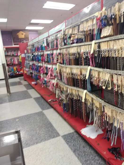 Petco Picture 8
