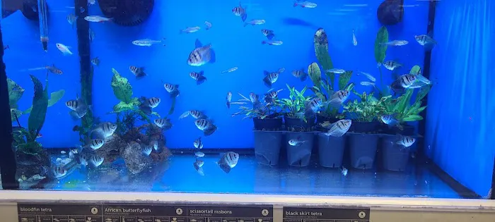 Petco Picture 7