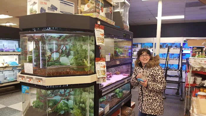 Petco Picture 2