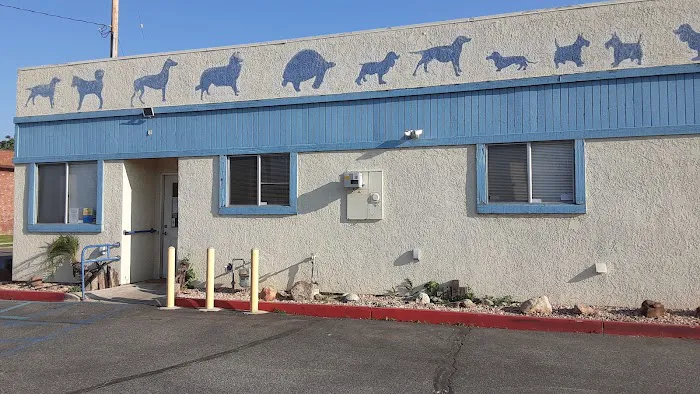 Buena Vista Pet Clinic Picture 7