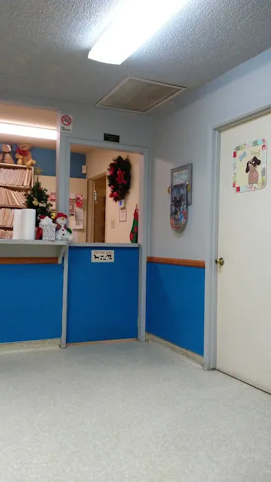 Buena Vista Pet Clinic Picture 3