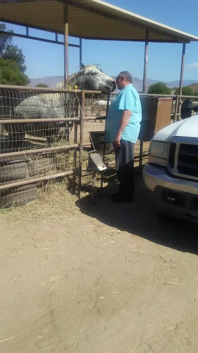 Rasner Reginald R DVM Picture 2