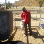 Rasner Reginald R DVM