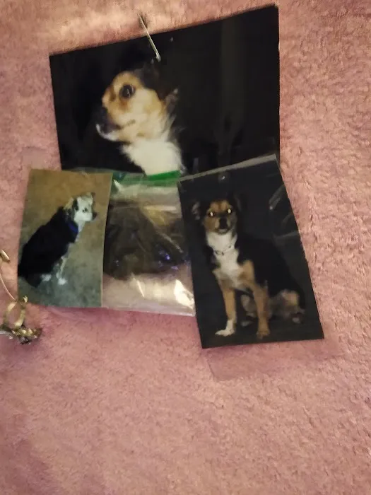 Hemet Animal Hospital: Kaylor Barbara DVM Picture 4