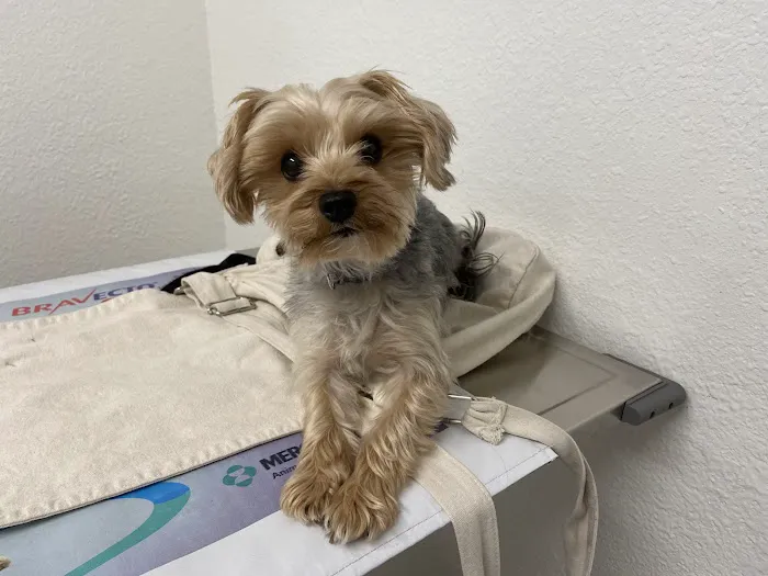 Hemet Animal Hospital Picture 1