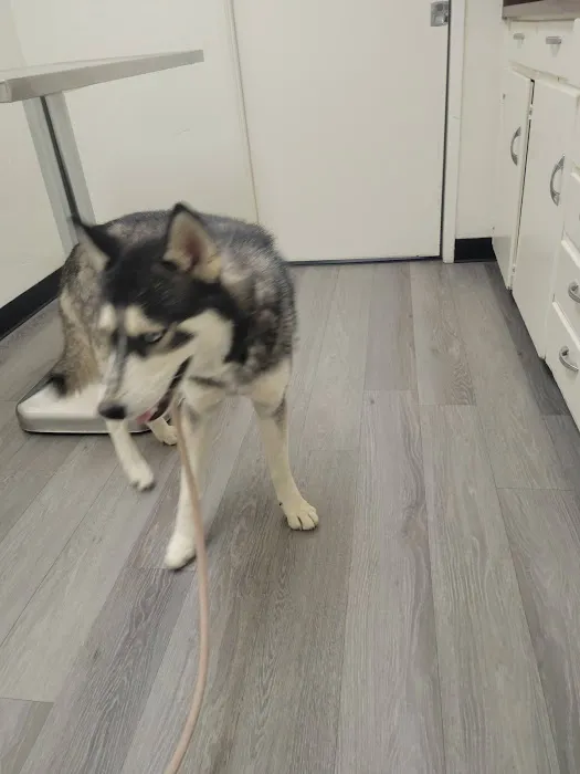 Hemet Animal Hospital Picture 6