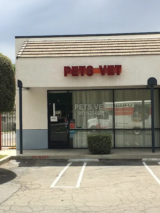 Pets Vet Veterinary Clinic Picture 8