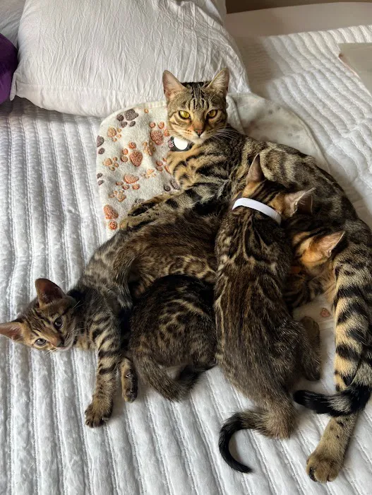 Mar Animal Hospital Picture 7
