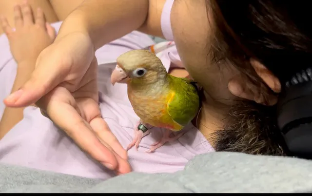 TP Birds Picture 6