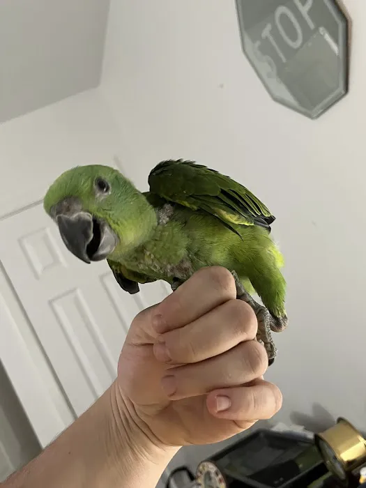 TP Birds Picture 3