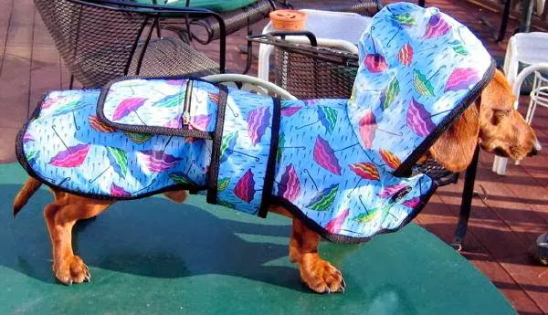 Wraprascal Dog Coats Picture 3
