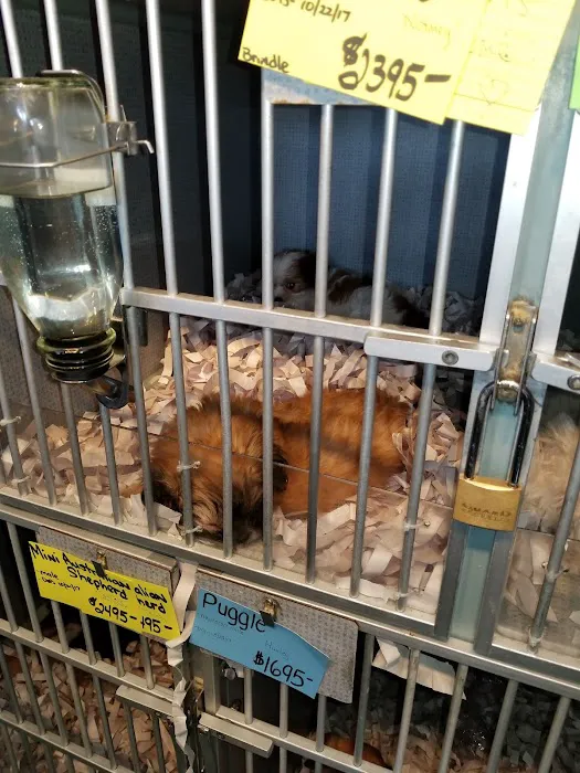 Arcadia Pets of Staten Island Picture 4