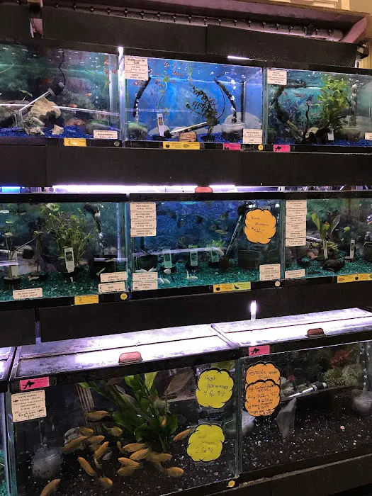 Petland Discounts - Richmond Picture 7