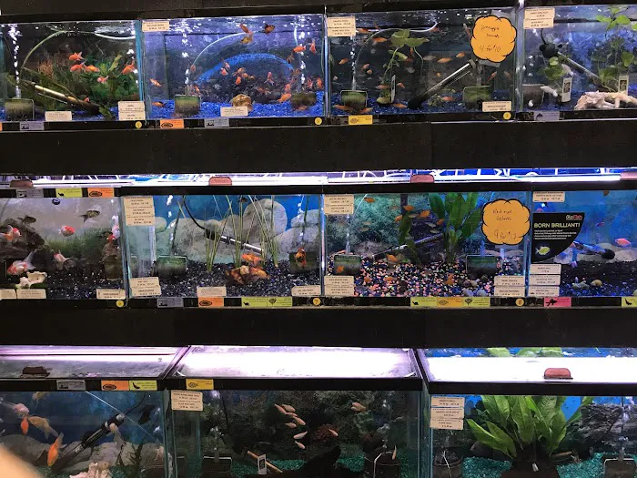 Petland Discounts - Richmond Picture 8