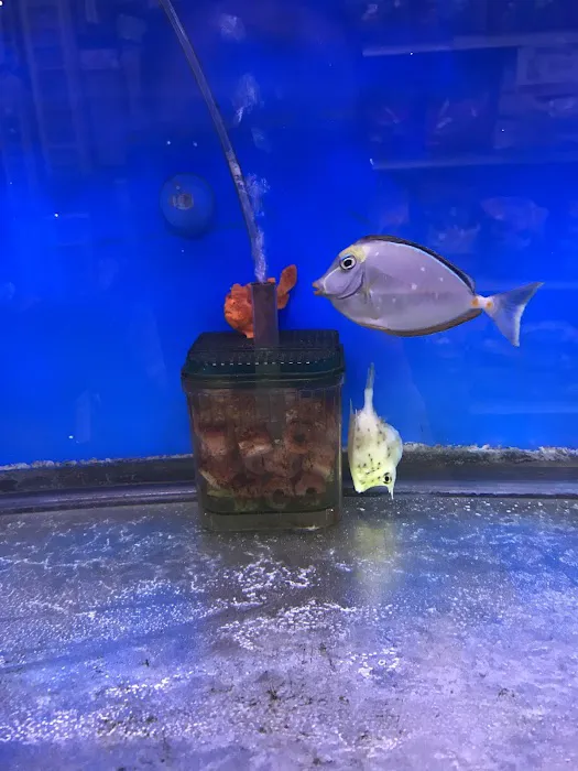 Petland Discounts - Richmond Picture 3