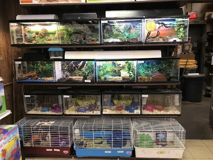 Petland Discounts - Richmond Picture 5