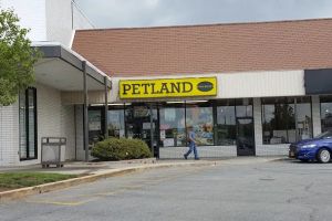 Auto Service Center