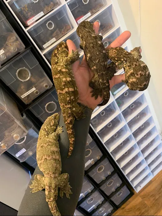Self Trusted Reptiles Picture 7