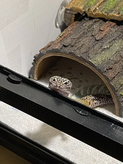 Self Trusted Reptiles Picture 1