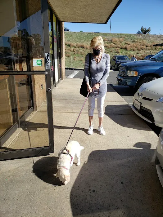 Sun City Veterinary Clinic Picture 6