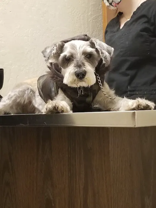 Sun City Veterinary Clinic Picture 5
