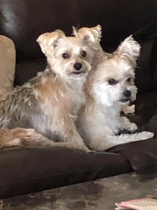 Menifee Animal Hospital Picture 6