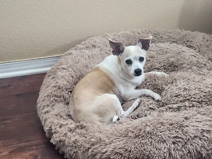 Menifee Animal Hospital Picture 9
