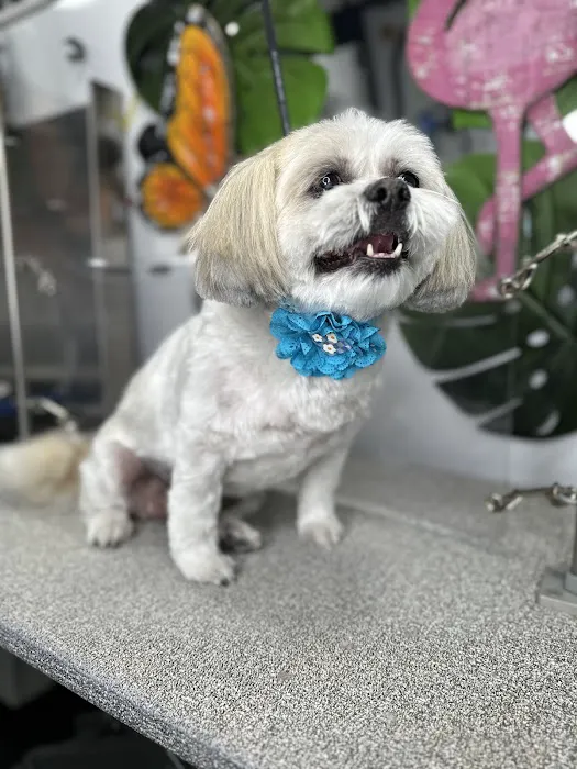 Menifee Animal Hospital Picture 3