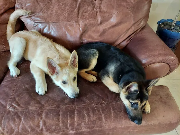 Menifee Animal Hospital Picture 1