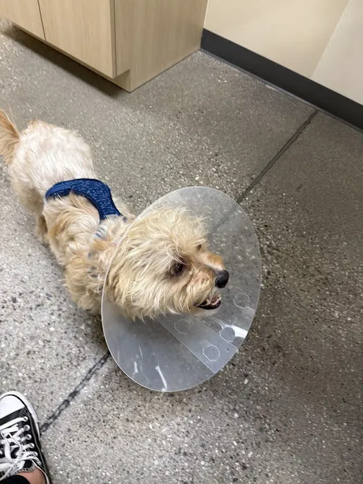 Vetco Total Care Animal Hospital Picture 4