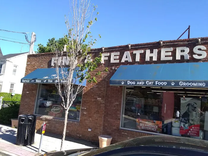 Fins & Feathers Picture 1