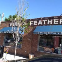 Fins & Feathers ico