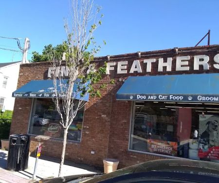 Fins & Feathers
