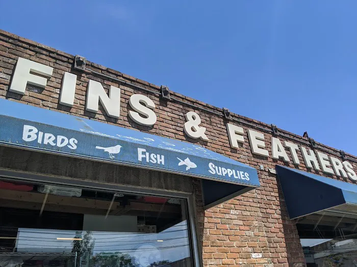 Fins & Feathers Picture 7