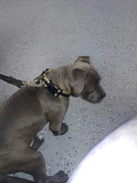 Nuevo Road Animal Hospital Picture 3