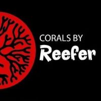 Corals by Reefer Ryan ico