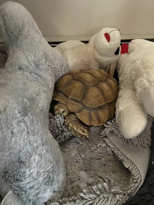 E & J Pet Shop LLC Picture 4