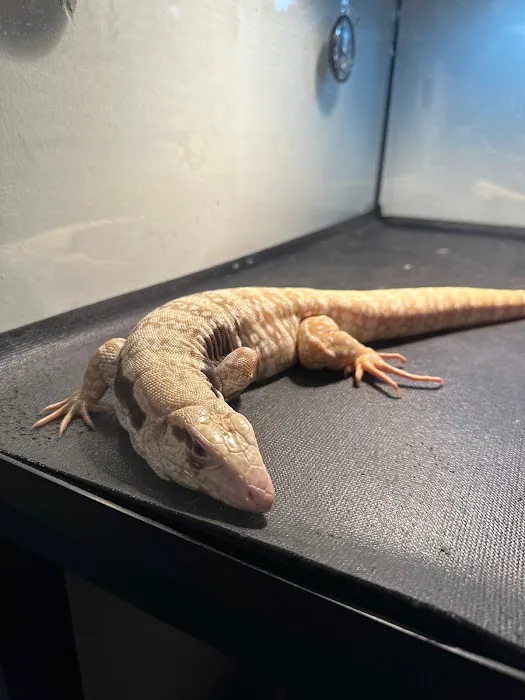 E & J Pet Shop LLC Picture 3