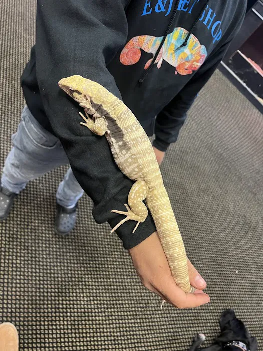 E & J Pet Shop LLC Picture 8