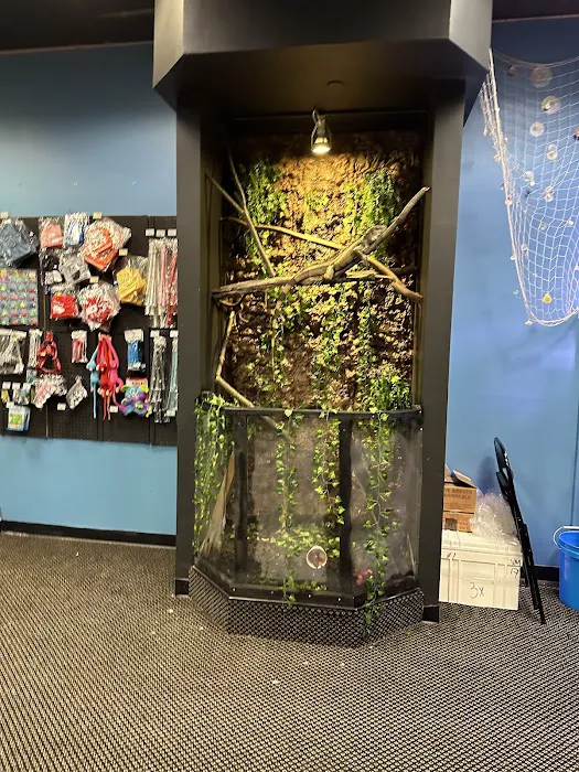E & J Pet Shop LLC Picture 9