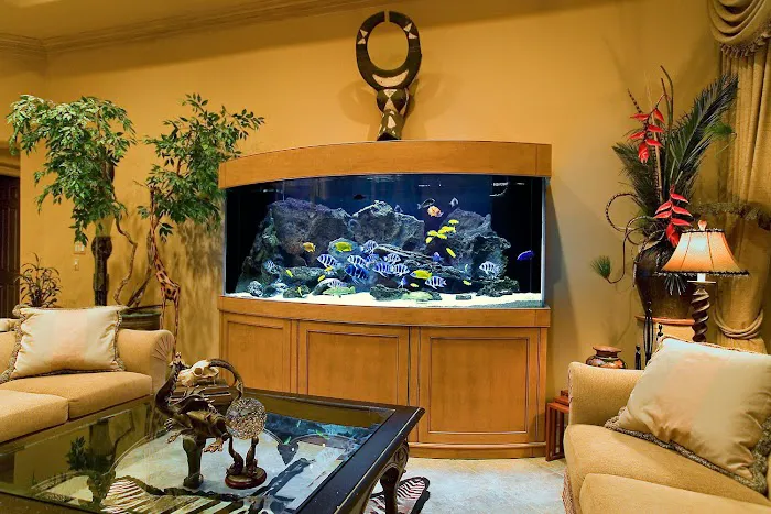Aqua Vision's Picture 4