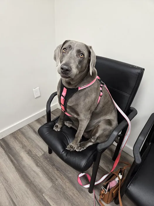 Canyon Lake Veterinary Hospital Picture 2