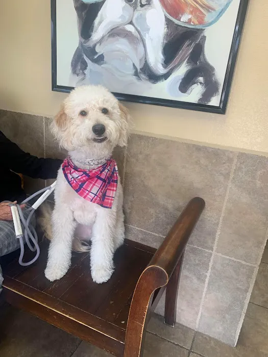 Canyon Lake Veterinary Hospital Picture 8