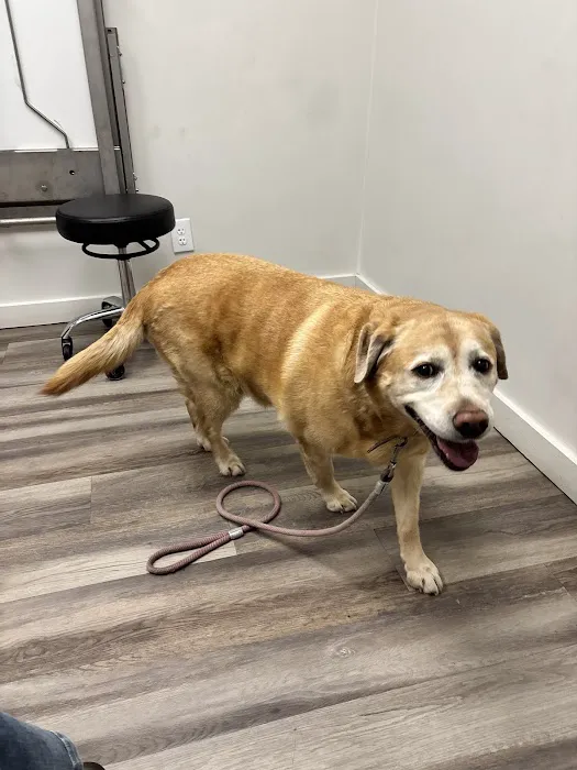 Canyon Lake Veterinary Hospital Picture 3