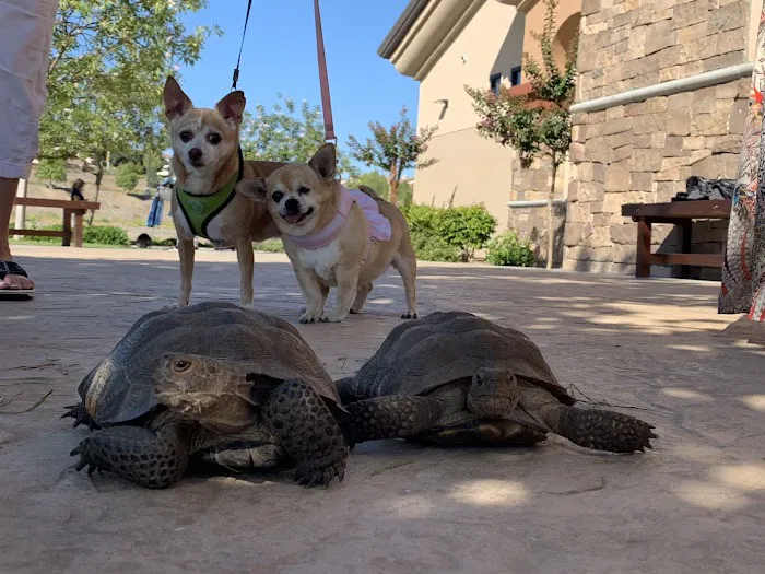 Canyon Lake Veterinary Hospital Picture 4