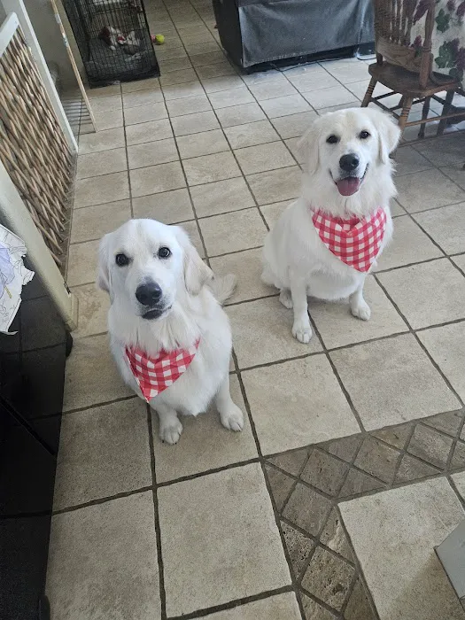 Canyon Lake Veterinary Hospital Picture 5