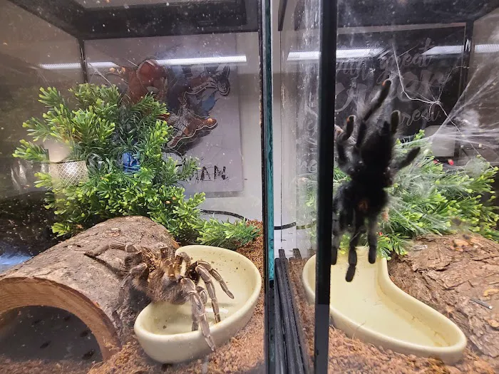 Petco Picture 4