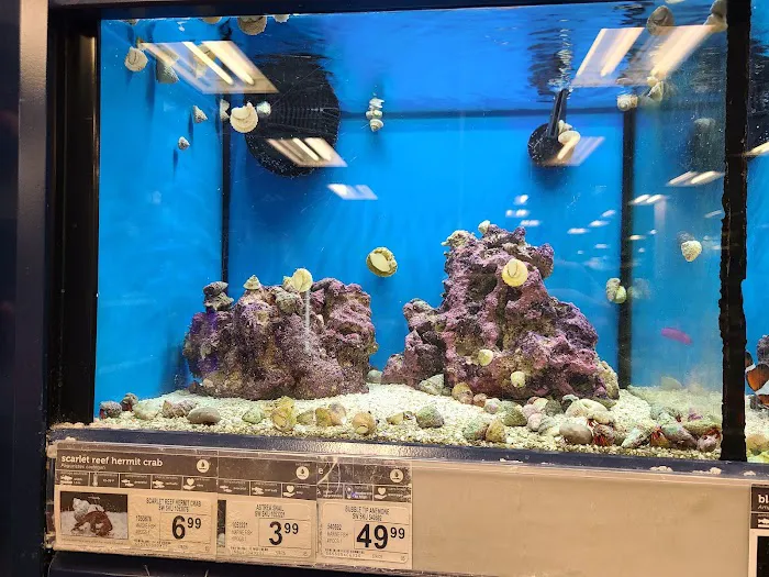 Petco Picture 10