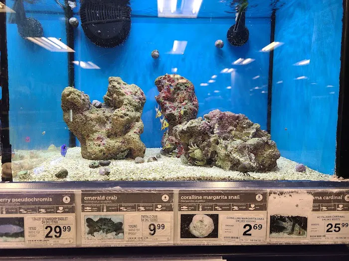 Petco Picture 9